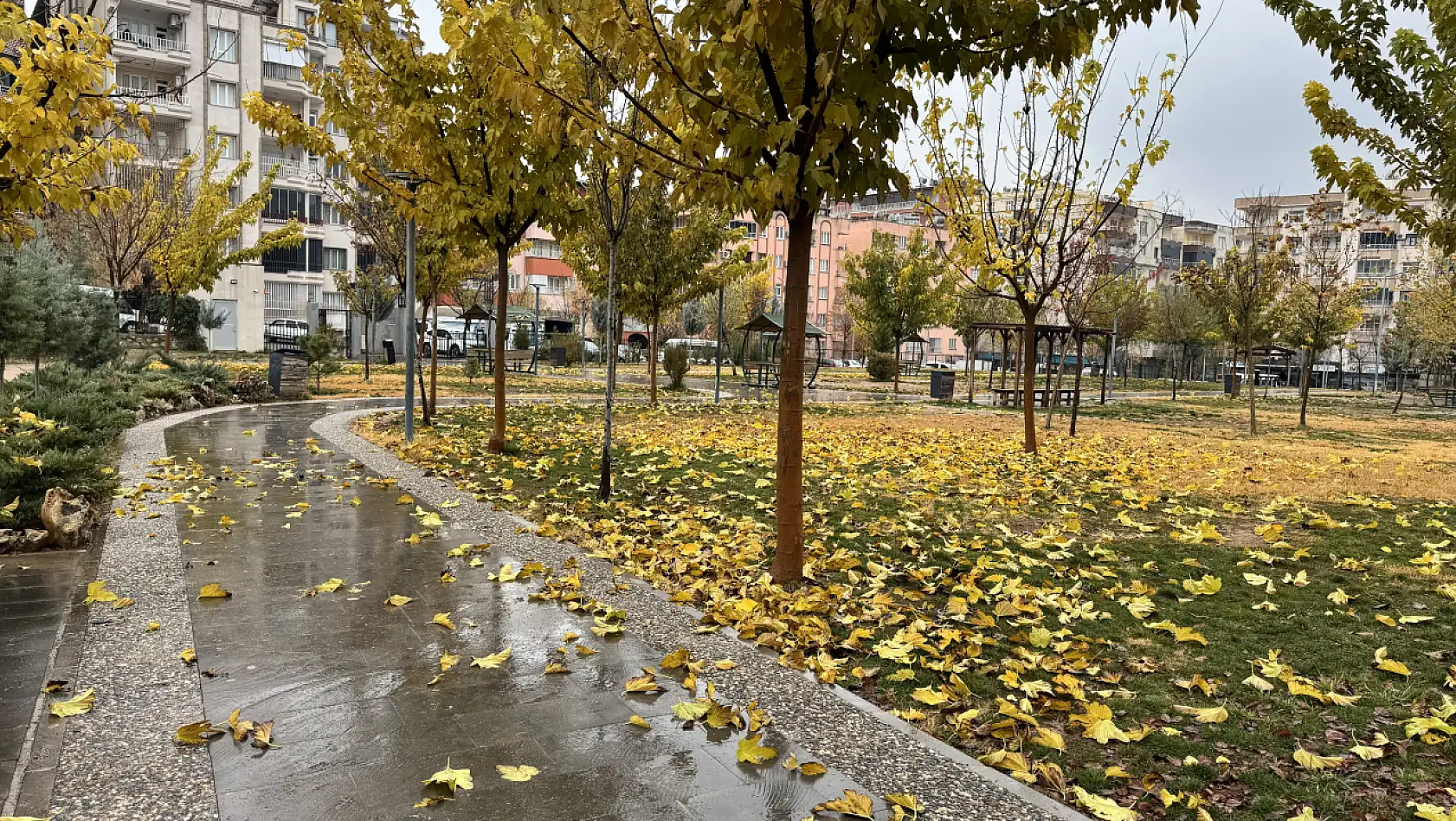 Siirt Millet Bahçesi'nde mevsim geçişi objektife yansıdı
