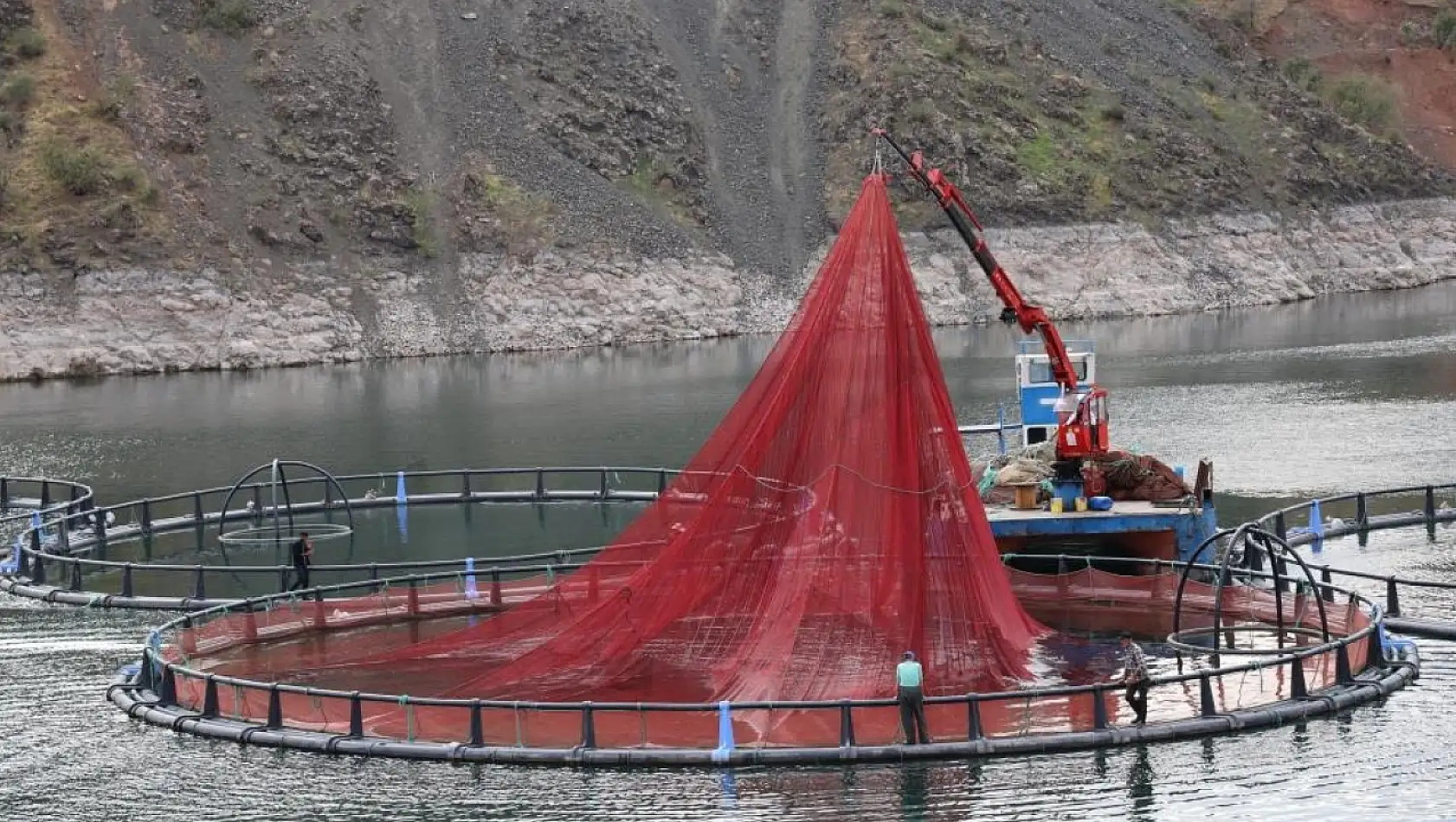 Mezopotamya Somonu Dünyaya Açılıyor: Diyarbakır'dan Global İhracat Başlıyor