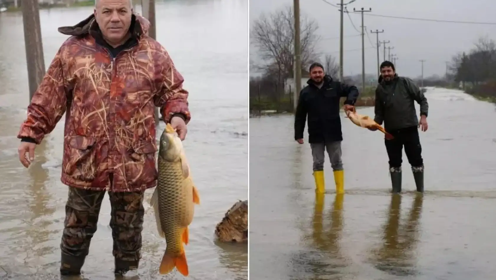 Tarlanın ortasından çıktı, tartıda 7 kilo geldi
