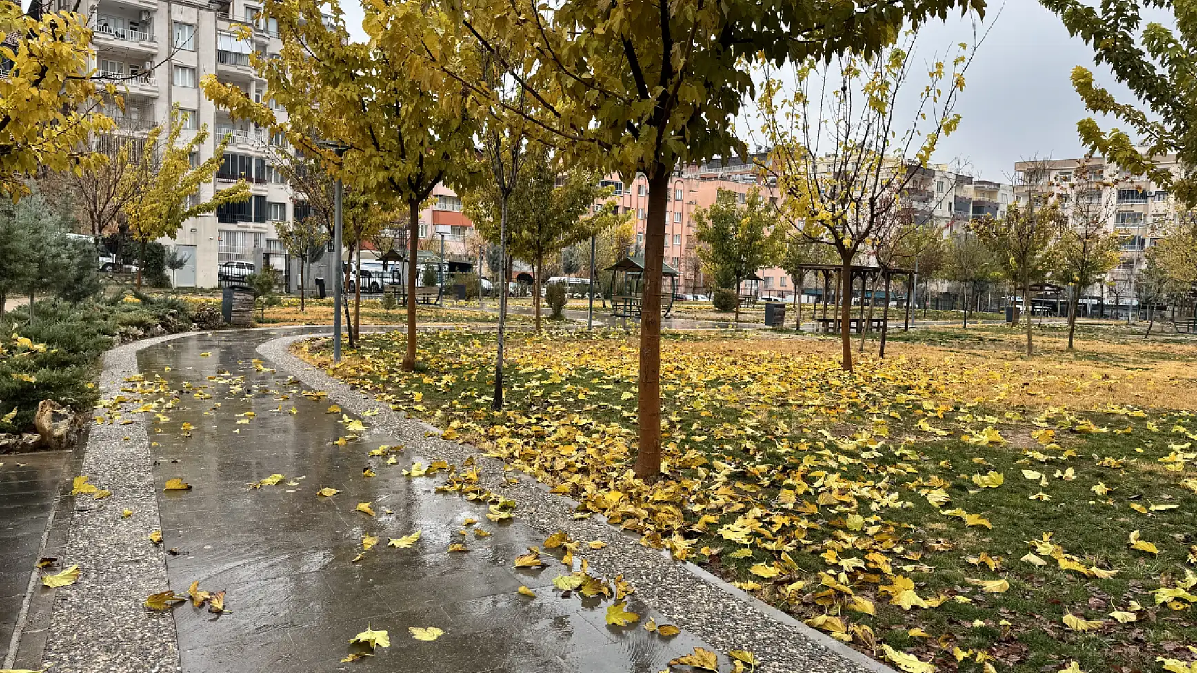 Siirt Millet Bahçesi’nde mevsim geçişi objektife yansıdı