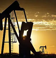Amerikan Şirketi Siirt'teki Petrol Sahası İçin Süre Uzatım Başvurusunda Bulundu
