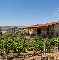 Bağ Evi Yapacaklara Yeni Düzenleme: Arazi Şartı 50 Bin Metrekareden 20 Bin Metrekareye Düştü