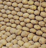 Bismil'de 400 Tonluk Patates Krizi: Müdür Tutuklandı, Kaymakam ve Başsavcının Görev Yeri Değişti
