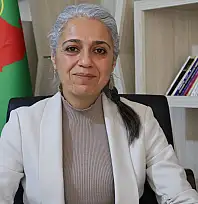 DBP Eş Genel Başkanı Çiğdem Kılıçgün Uçar Siirt'e Geliyor: 2 Günlük Programı Belli Oldu