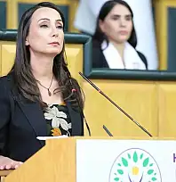 DEM Parti'den iktidara ve muhalefete 4 maddelik çağrı: Çerçeve yasa ve hukuki düzenleme vurgusu
