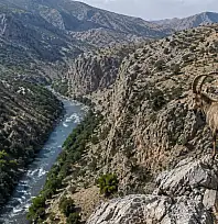 DEM Parti'den Siirt'teki Yaban Keçisi Av İhalesine Tepki: Doğa Satılık Değildir