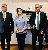 DEM Parti Siirt İl Başkanı Sarıtaş, Esnaf Odası Başkanlarını TBMM'de Ağırladı