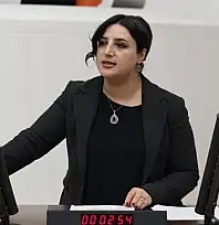 DEM Parti Siirt Milletvekili Sarıtaş TBMM'de Emekçilerin Sorunlarını Gündeme Taşıdı