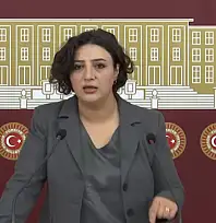 DEM Partili Sarıtaş, Siirt'in Kronikleşen Sorunlarını Meclis Gündemine Taşıdı