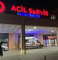 Diyarbakır'da Feci Kaza: İki Otomobil ile At Çarpıştı – 1 Ölü, 7 Yaralı
