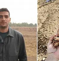 Dünyanın en pahalı baharatı Siirt toprağıyla buluştu