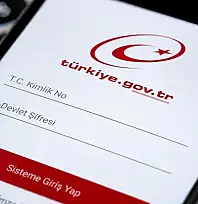 e-Devlet'e Giren Herkes Kontrol Etsin: Adınıza Şirket Açılmış Olabilir