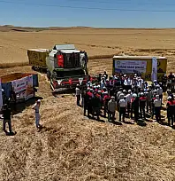 Garzan Ovası'nda İlk Hasat Yapıldı: Vali Kızılkaya'dan Anız Yangını Uyarısı