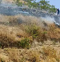 Kurtalan'da Fıstık Bahçesi Yangını: 95 Ağaç Zarar Gördü