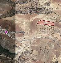 Siirt 16 bin 884 metrekare tarla icradan satışa çıkarıldı