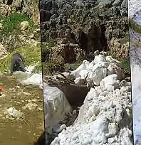 Siirt Çıraw Dağı'nda İlginç Yöntem: Karı Eritip Hayvanlara Su Yapıyorlar