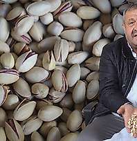 Siirt fıstığında ithal ve fiyat oyunu: '600 liraya alıp 1500 liraya satıyorlar'