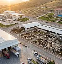 Siirt için 2026 teşvik listesi güncellendi! 2026 teşviklerinde Siirt'e özel yatırım başlıkları