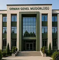 Siirt'in Beklediği Yatırım İçin Yarış Başladı! Komşu İller Devrede