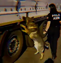 Siirt'in de Aralarında Bulunduğu 73 İlde Uyuşturucu Operasyonu: 935 Tutuklam