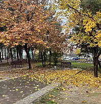 Siirt'in Göbeğinde Renk Cümbüşü! Soğuk havada sıcak bir manzara