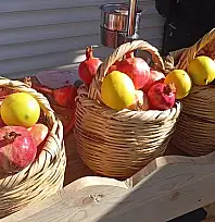 Siirt'in Zivzik Narı Diyarbakır Sur'da İlgi Odağı Oldu