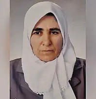Siirt Kurtalan'da Nefiya Bağrıyanık Hayatını Kaybetti
