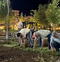 Siirt Kurtalan Millet Bahçesi'nde Rulo Çim Serimine Başlandı