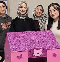 Siirt Kurtalan Öğrenci Yurdu'nda Öğrencilerden Sokak Kedileri İçin Örnek Çalışma