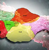 Siirt Listenin En Alt Sırasında! TÜİK 2022 Verileri Açıklandı: Kanser Ölümlerinin En Yüksek ve En Düşük Olduğu İller