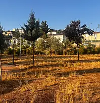 Siirt Millet Bahçesi'nde Çimler Bakımsızlık Nedeniyle Kurudu