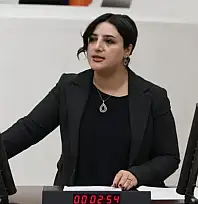 Siirt Milletvekili Sarıtaş, 2026 Bütçe Görüşmelerinde Gençlerin Sorunlarını Gündeme Taşıdı