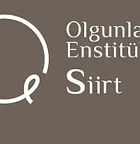 Siirt Olgunlaşma Enstitüsü'nde 8 alanda usta öğretici alımı yapılacak