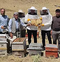 Siirt Pervari'nin Bal Mesaisi Çema Kari Yaylası'nda Sürüyor