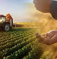 Siirt Tarım Müdürlüğü Uyardı! ÇKS başvurularında son tarih 31 Aralık 2025