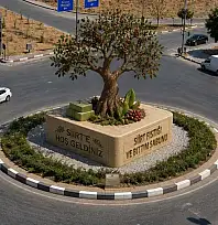 Siirt'te 13 Yıldır Kayıp Olan Şehir Kimliği Ford Kavşağı'nda Yeniden Canlansın