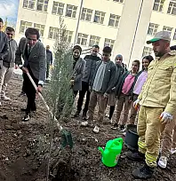 Siirt'te 24 Kasım Öğretmenler Günü'nde Fidanlar Toprakla Buluşturuldu