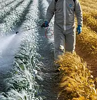 Siirt'te 5 Günlük Tarımsal Hava Tahmini Açıklandı: Don Riski Yok