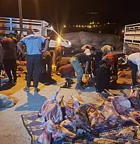 Siirt'te 50 Koyun Gizemli Şekilde Telef Oldu: Jandarma Soruşturma Başlattı