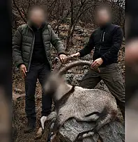 Siirt'te 6 Yıl Önce 5 Yaban Keçisini Kaçak Avlayan Şahıslar Tespit Edildi