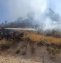Siirt'te 60 Dönümlük Mera Alanı Küle Döndü, Facia Son Anda Önlendi
