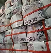 Siirt'te Bir Şirkete 18.2 Milyon TL Ceza Kesildi! İşte Kesilen Cezalar