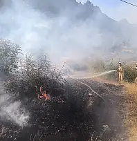 Siirt'te Çıkan Orman Yangını Kontrol Altına Alındı