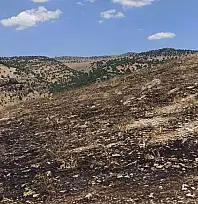 Siirt'te Çıkan Örtü Yangınını Köylüler Söndürdü