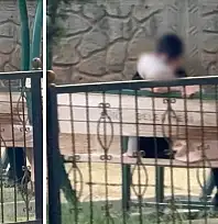 Siirt'te Çocuk Parkındaki Uygunsuz Davranışlar Tepki Çekti