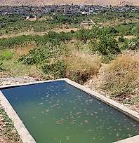 Siirt'te Doğa Fotoğrafçısı Üzüm Tek Başına 7 Yıldır Takip Ediyor: 39 Doğal Su Kaynağını Kayıt Altına Aldı