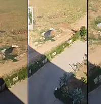 Siirt'te Foseptik Çukuru Tepkisi: Vatandaş Şikayetçi