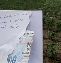 Siirt'te Girdiği Tarladan Domates Alan Vatandaş, Parasını Ve Helallik Notunu Bıraktı