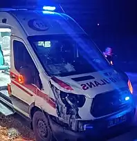 Siirt'te Hasta Taşıyan Ambulans At Sürüsüne Çarptı: 1 At Öldü