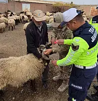 Siirt'te Jandarmadan Hayvan Çarpmalarına Önlem: Siirt'te Reflektif Bant Çalışması Başladı